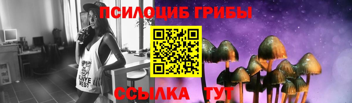 Галлюциногенные грибы Magic Shrooms  Вход с VPN  Галлюциногенные грибы ЛСД  Ковров 